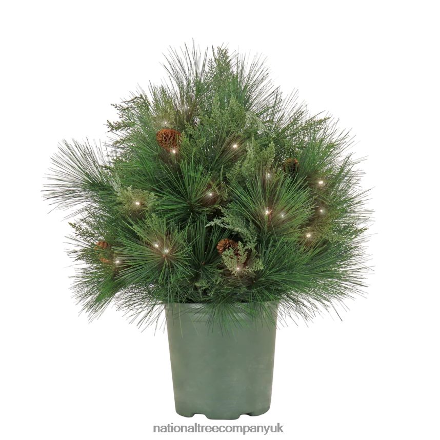 Greenery | National Tree Company 26 HGTV Home Collection Pre-Lit Black Tie Planter Filler F2L4F471